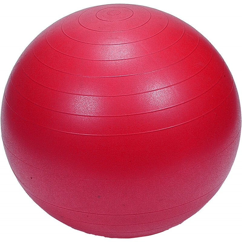 Диаметр 65. Мяч для фитнеса Anti-Burst Gym Ball 65 см. Гимнастический мяч Profi-Fit, диаметр 65 см, антивзрыв. Фитбол Inex 65см. Мяч для фитнеса, 