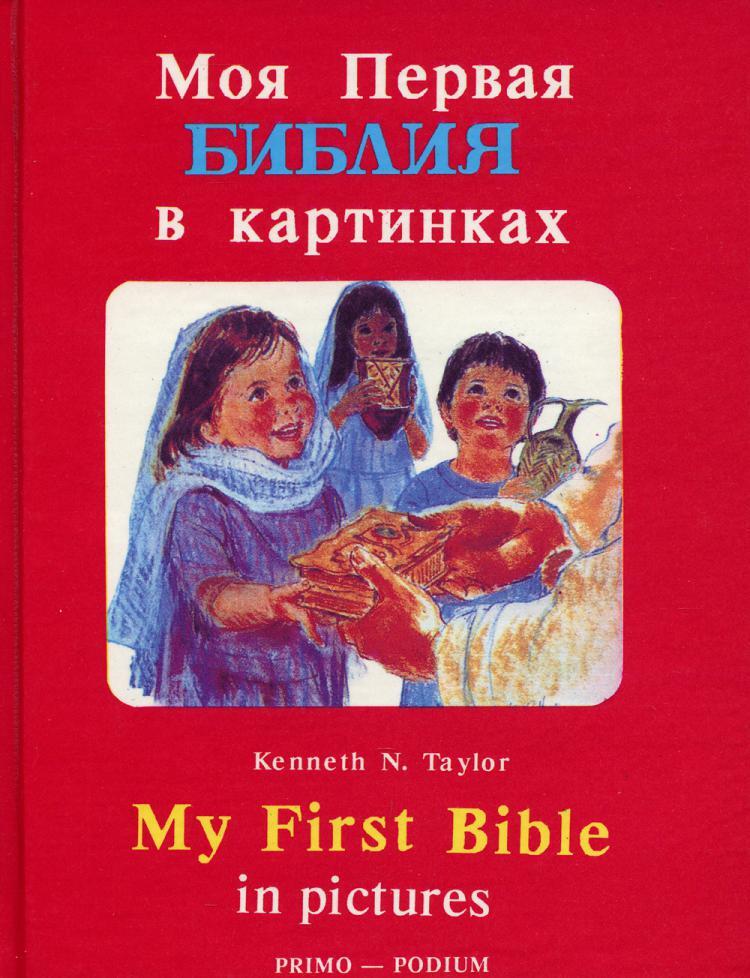 Сеть Магазинов 7 5