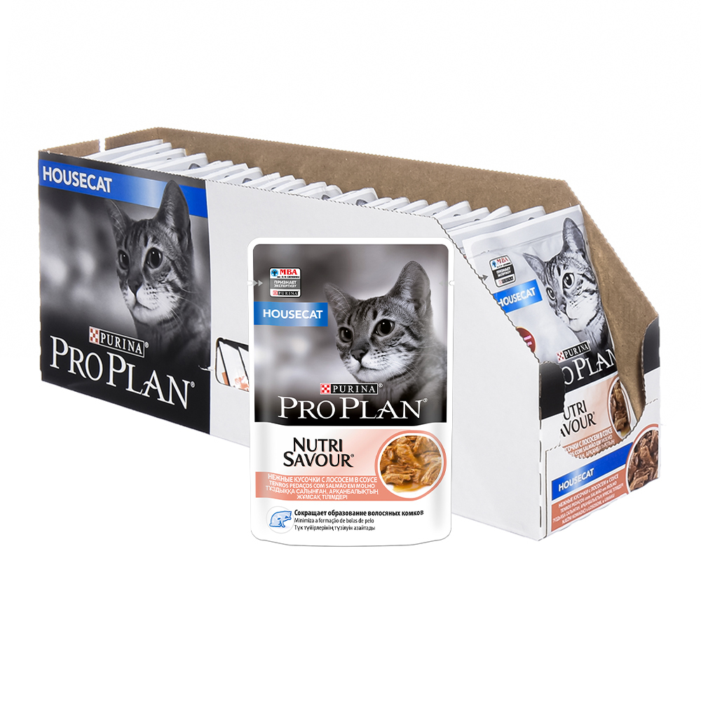 Корм для кошек purina one для стерилизованных. Пурина ван корм для кошек влажный. Purina one для взрослых кошек. Сухой корм пурина ван. Корм кошачий пурина ван для стерилизованных кошек.