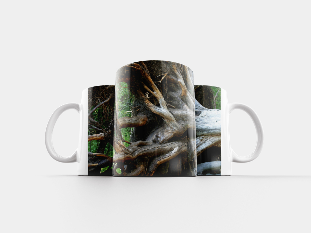 Слова с безударным гласным в корне слова проверяемый ударением. Чашка какой корень. Чашка какой корень. Кружка root binary. Дизайн root кружка.