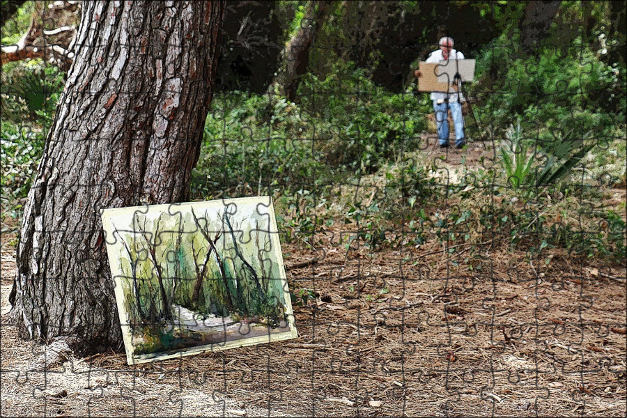 Forest stand. Stand Forests. Saler pictures.