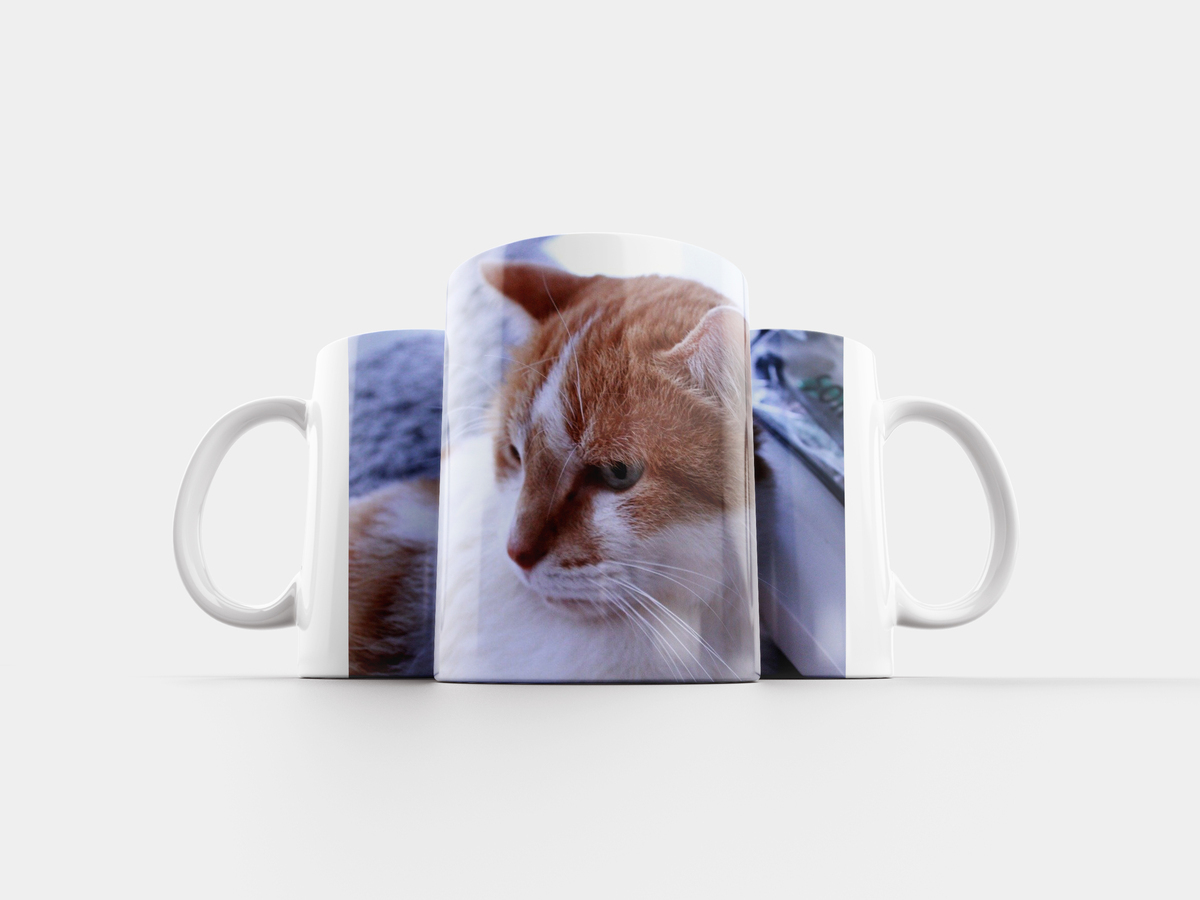 Кошка ру яндекс