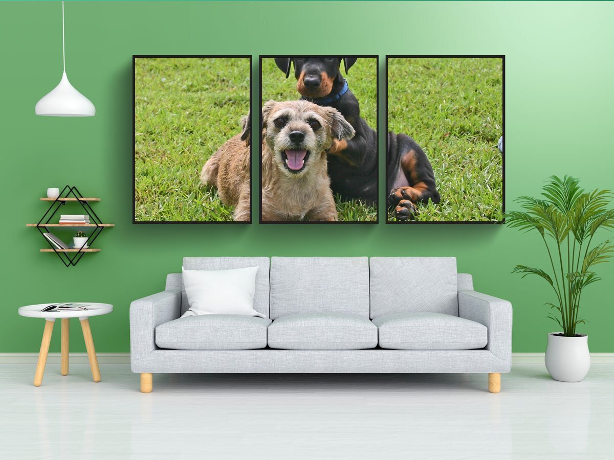 Постер собаки. Постеры с собаками. Постер щенки. Интерьер с картиной Доберман. Импостер собака.