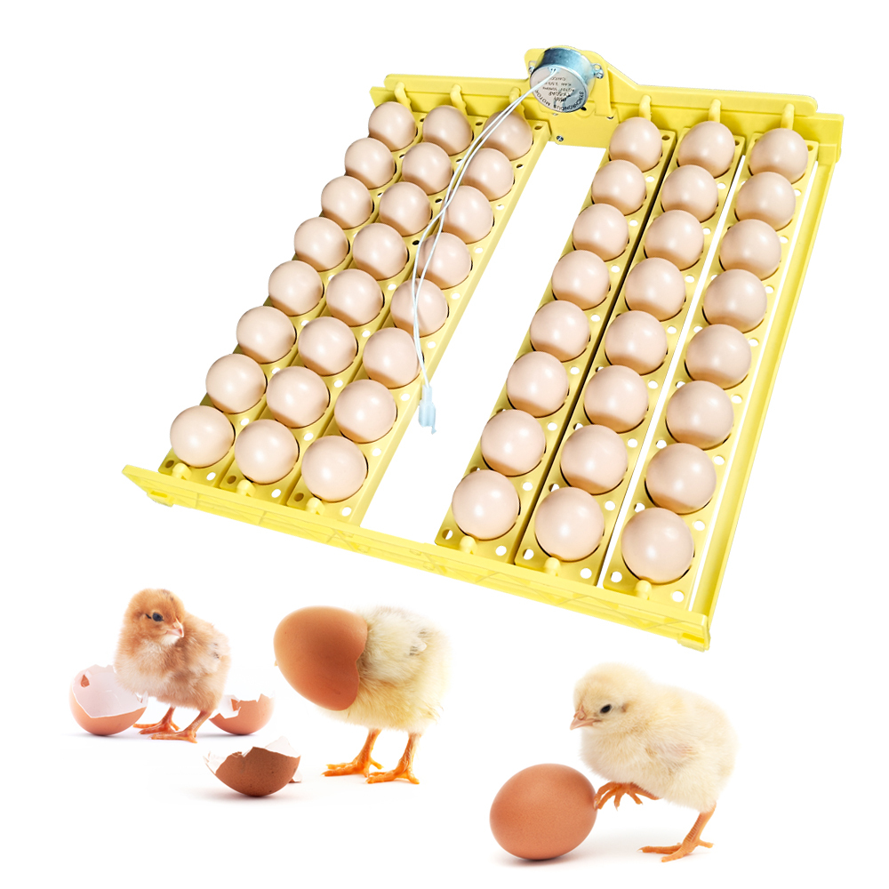Озон инкубатор для яиц автоматический. Лоток для яиц в инкубатор. Латки для яиц инкубатор. Вип лоток яиц. 48 Яиц.