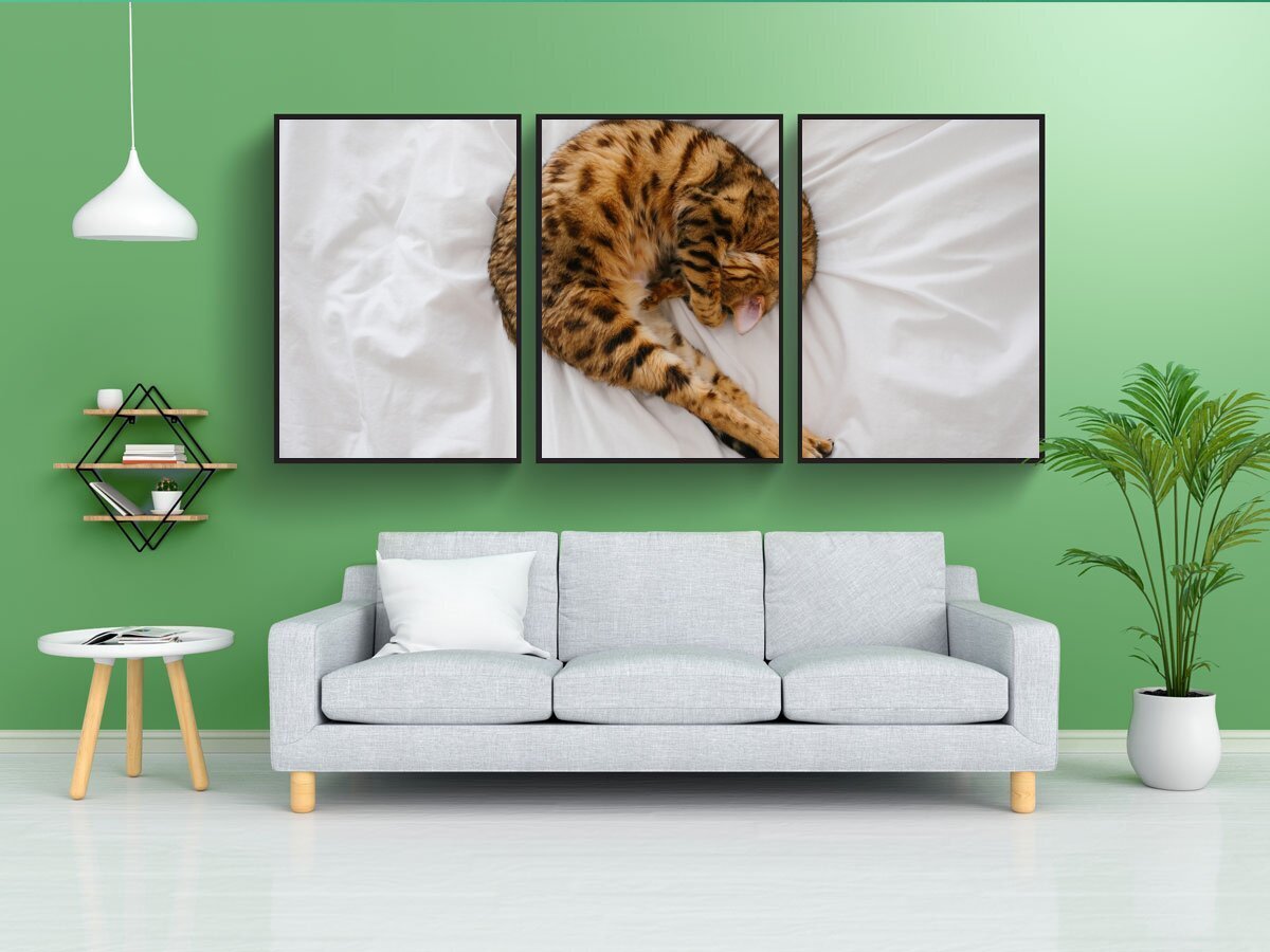 Постеры кошки для интерьера