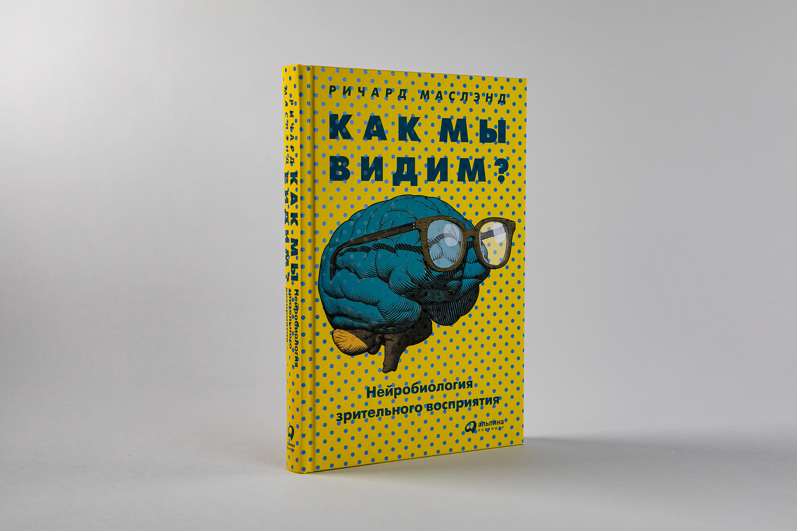 Как мы видим? Нейробиология зрительного восприятия | Маслэнд Ричард