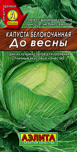 КапустабелокочаннаяДовесны,хранениедо7месяцев