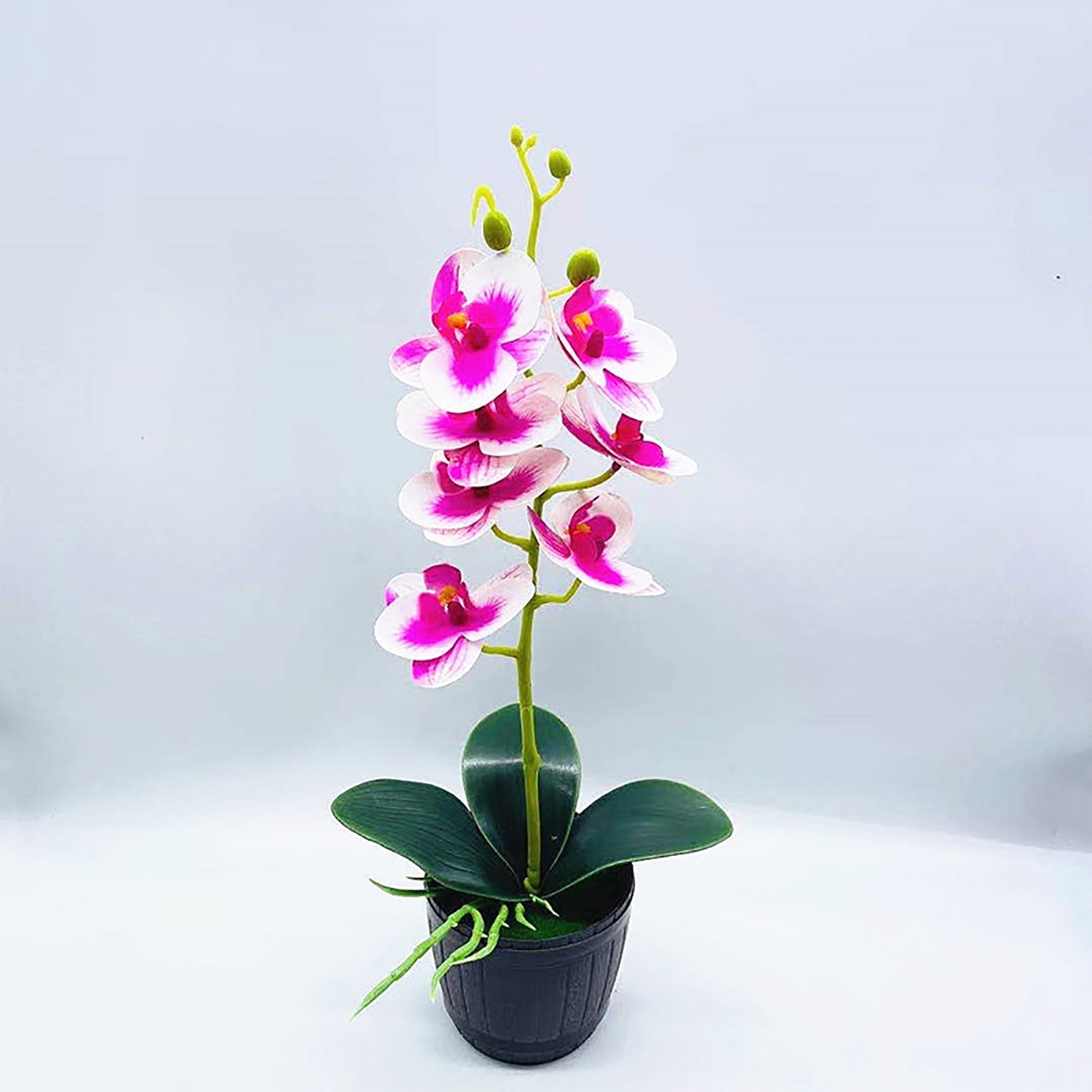 Кашпо для орхидей декоративное. Орхидея в горшке в подарок. Орхидея в горшке белая с фиолетом. Орхидея в кашпо китайском. Орхидея в горшке екатеринбург