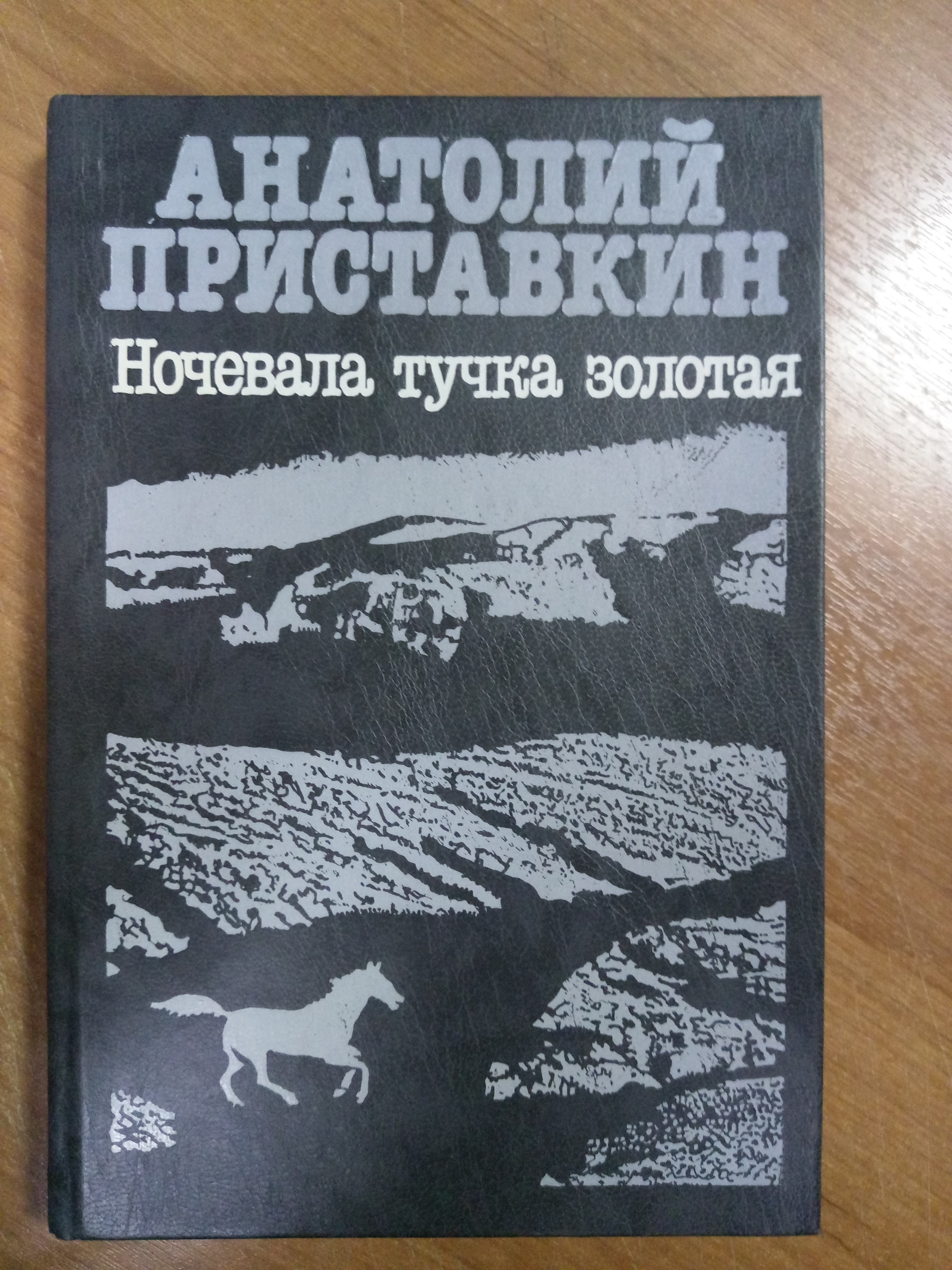 Произведение приставкина ночевала тучка золотая