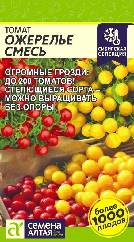 Ожерелье желтое томат отзывы фото урожайность Томаты Семена Алтая 1 - купить по выгодным ценам в интернет-магазине OZON