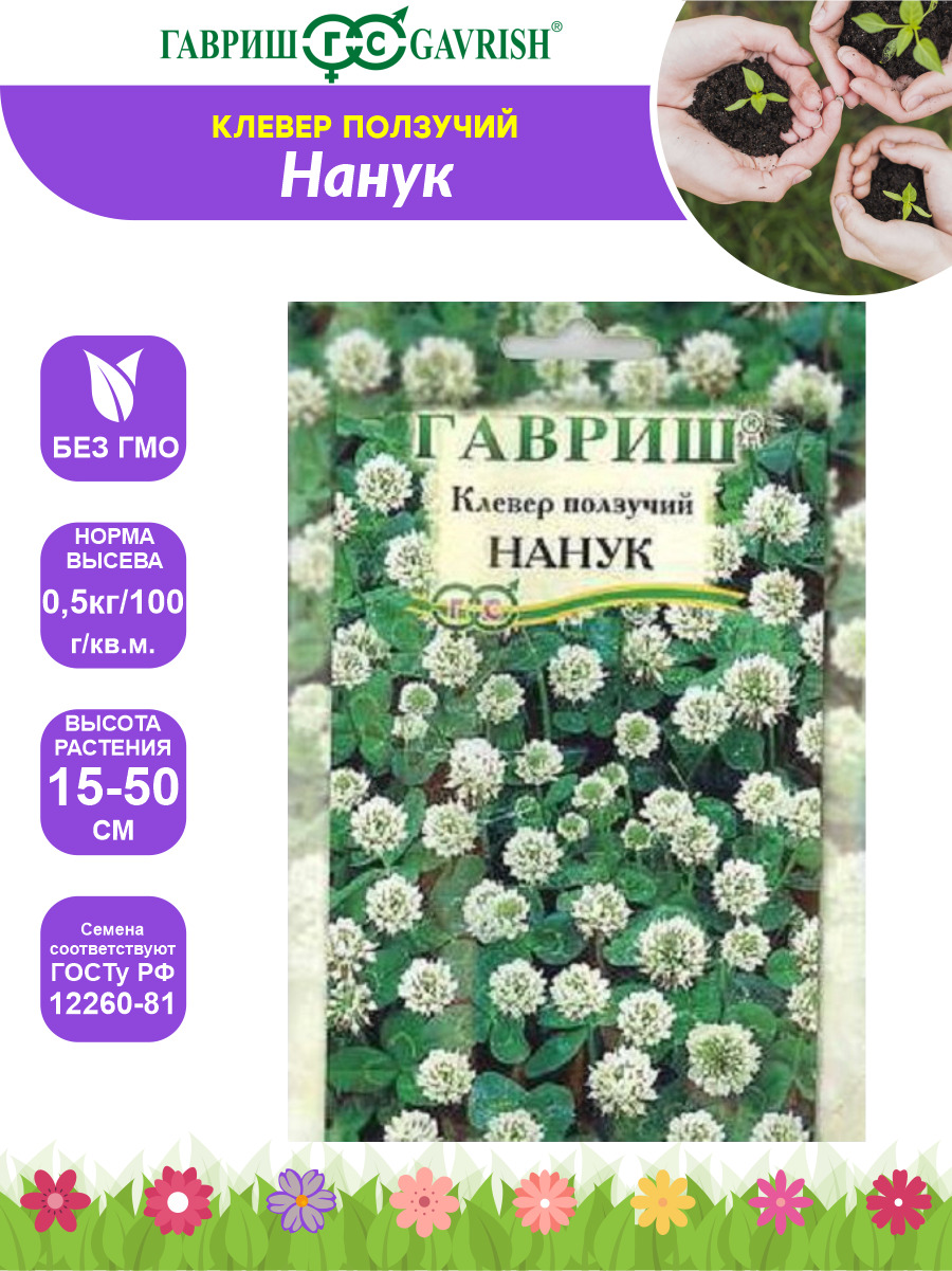 Норма клевера на сотку. Клевер ползучий белый Нанук. Газон Клевер ползучий Нанук. Клевер ползучий семена. Клевер Гавриш.