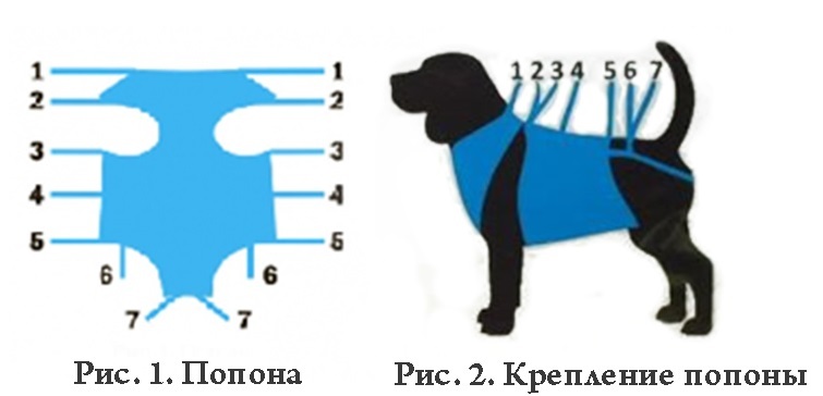 Схема попоны для кошки