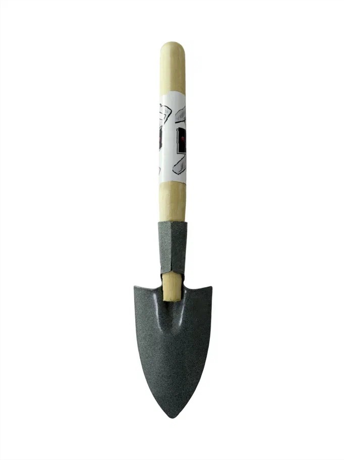 Dm 64