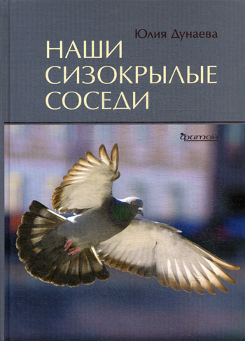 Наши сизокрылые соседи | Дунаева Юлия Александровна