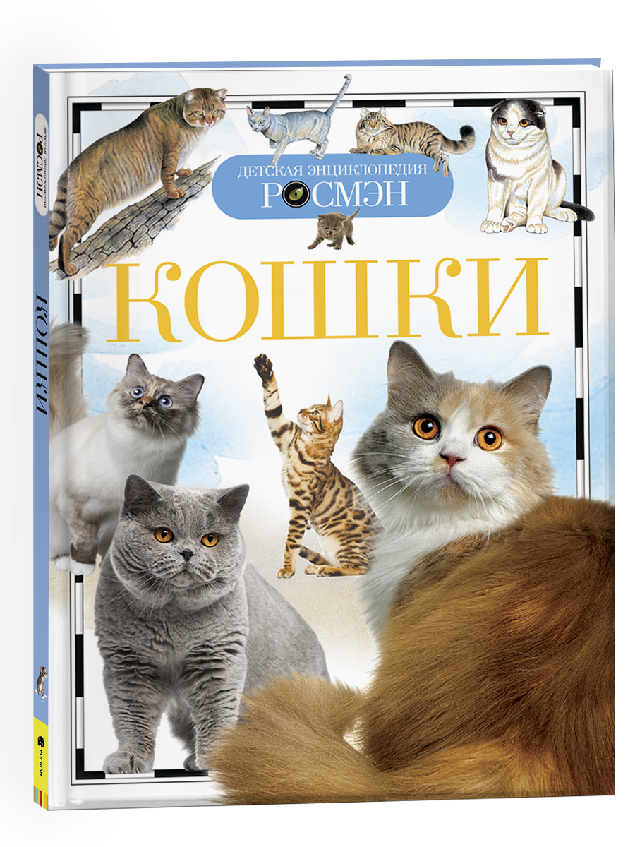 Кошки. Детская энциклопедия школьника РОСМЭН | Широнина Елена Владимировна  - купить с доставкой по выгодным ценам в интернет-магазине OZON (148803766)