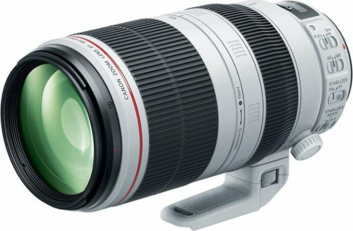 Canon Объектив EF 100-400mm f/4.5-5.6L IS USM