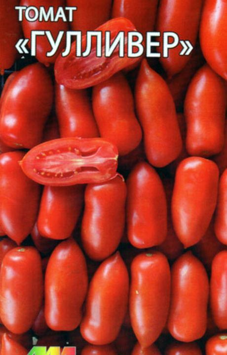 семенной картофель никулинский. томат семена гулливер. помидор сорт гулливер. помидор сорт гулливер. сорт томатов гулливер.