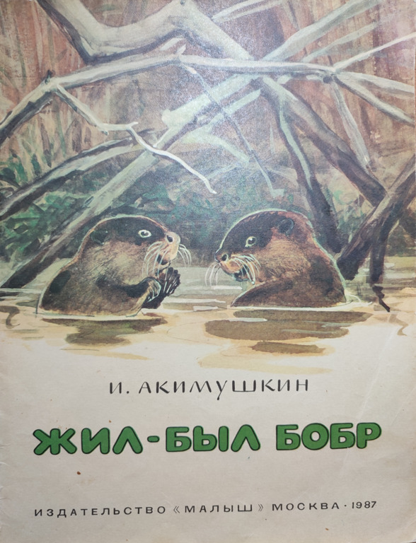 Путешествие бобра. Акимушкин жил был Бобр. Книга жил был Бобр Акимушкин. Жил был Бобр Акимушкин читать.