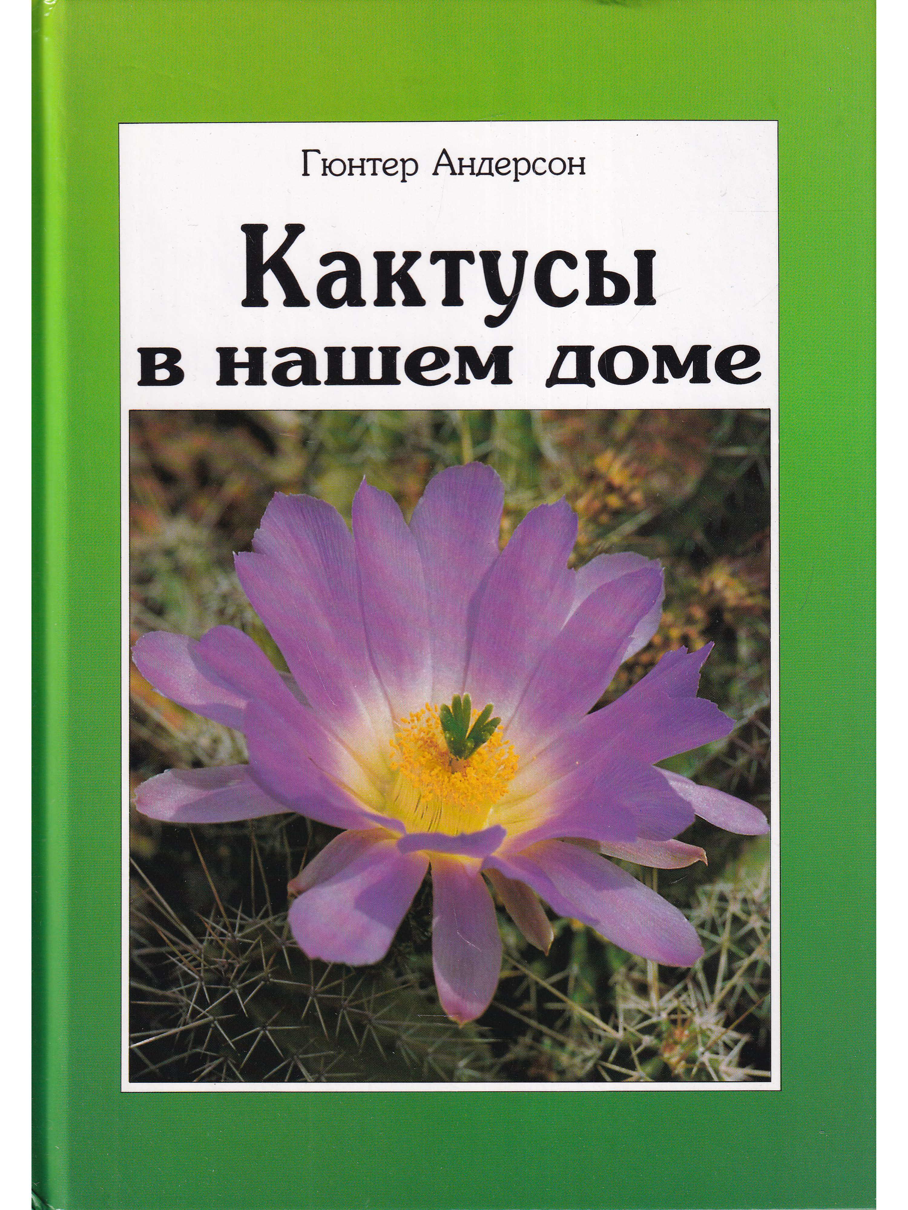 Растения для спальни – 10 лучших комнатных цветов