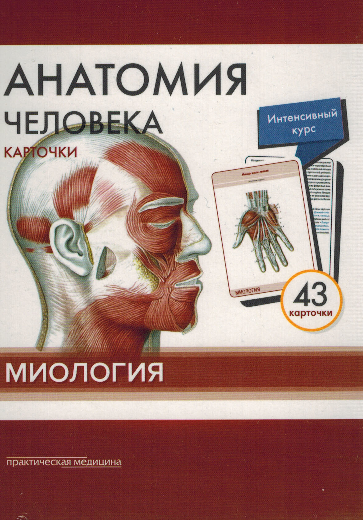 Сапина анатомия. Сапин м.р., атлас анатомии человека для стоматологов. Миология карточки Сапин. Сапин карточки анатомия человека. Сапин Михаил Романович анатомия.