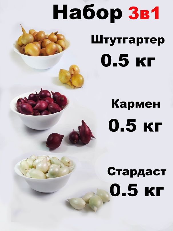 Луковицы,1.5кг купить на OZON...