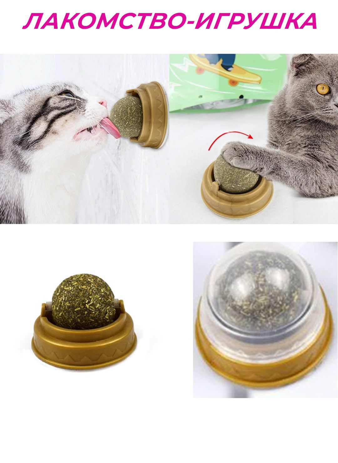 шарик с кошачьей мятой на стену. мятный шарик для котов. шарик с мятой для кошек. мятный шар для кошек. шарик кошачьей мяты.