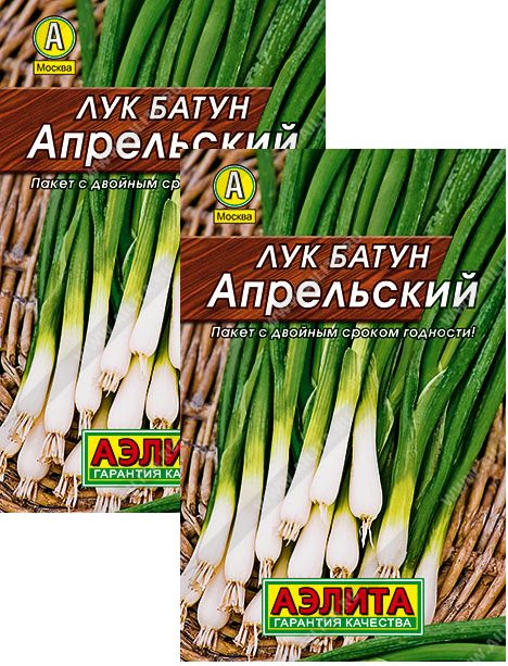 Агрофирма лучники. Лук-батун фото и описание.