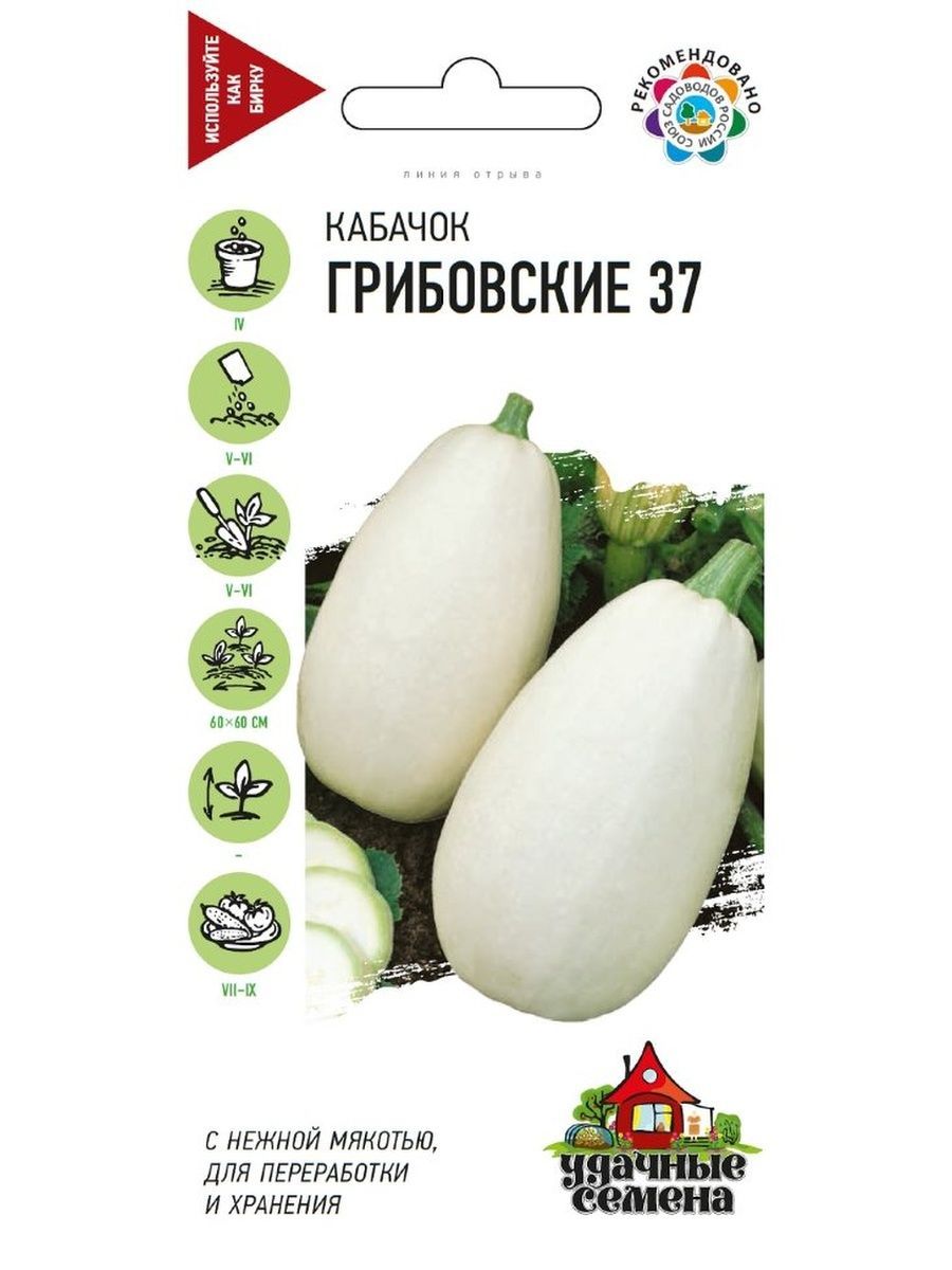 Семена Кабачков Купить На Озон
