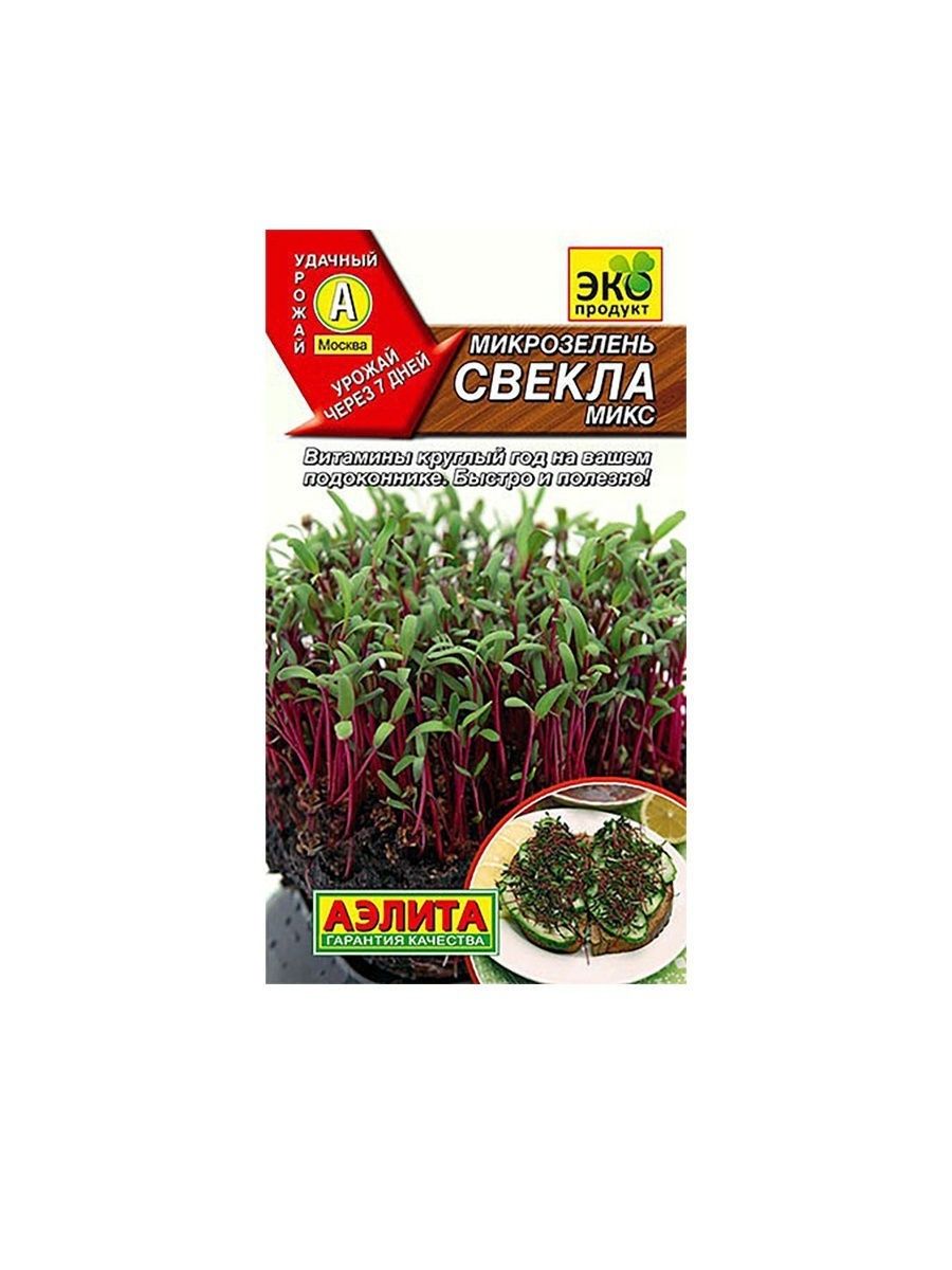 Семена Аэлиты Купить