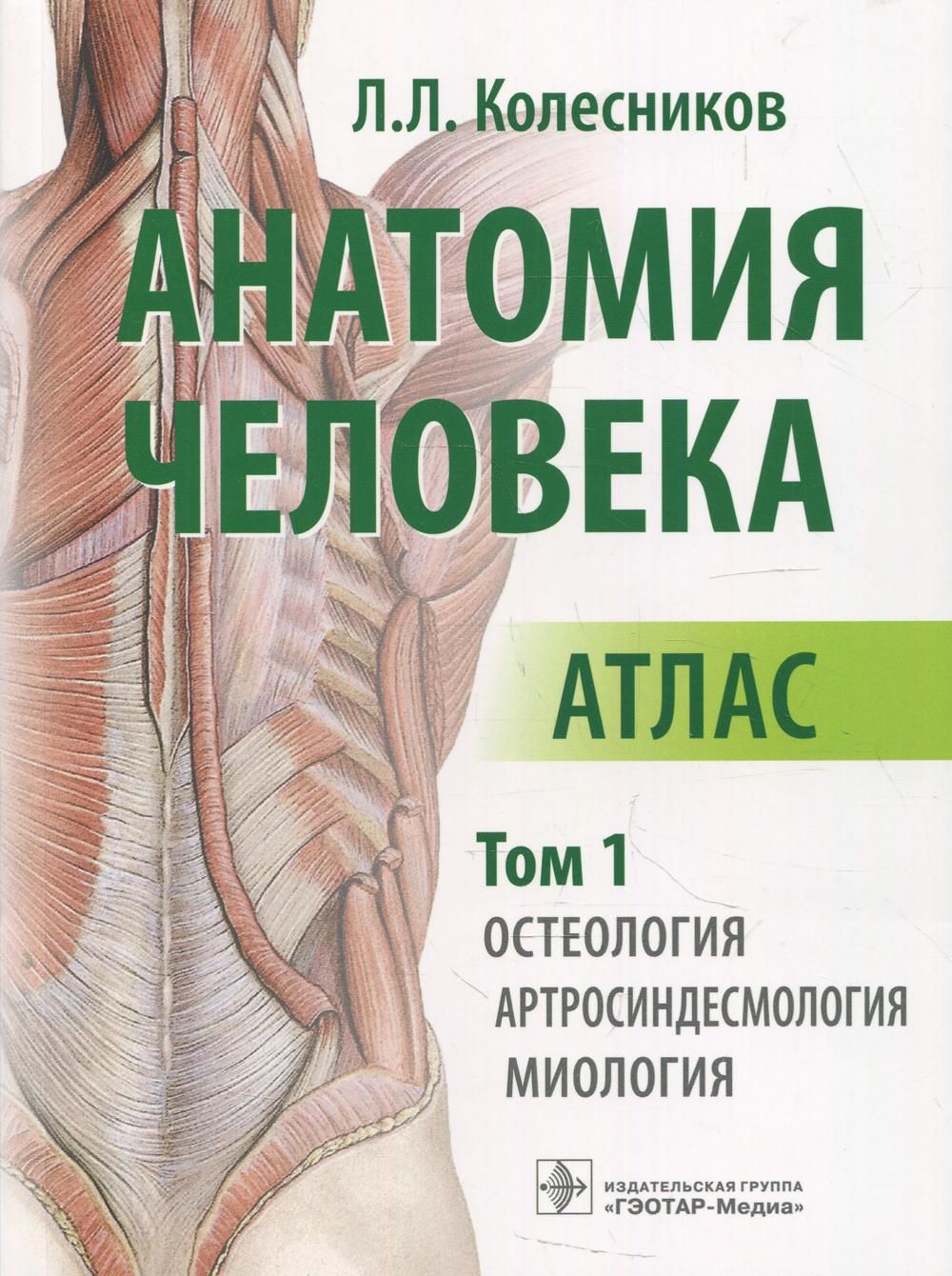 Атлас анатомии человека. Колесников анатомия человека атлас 1 том. Анатомия человека. В 3-Х томах. Том 1. Остеология, артросиндесмологи. Анатомия человека атлас Колесников 3 Тома. Анатомия человека атлас в 3-х томах.