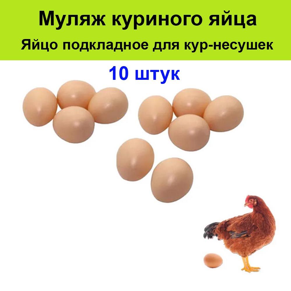 Рябушко кур несушек. Как определить курица несется или не несется.