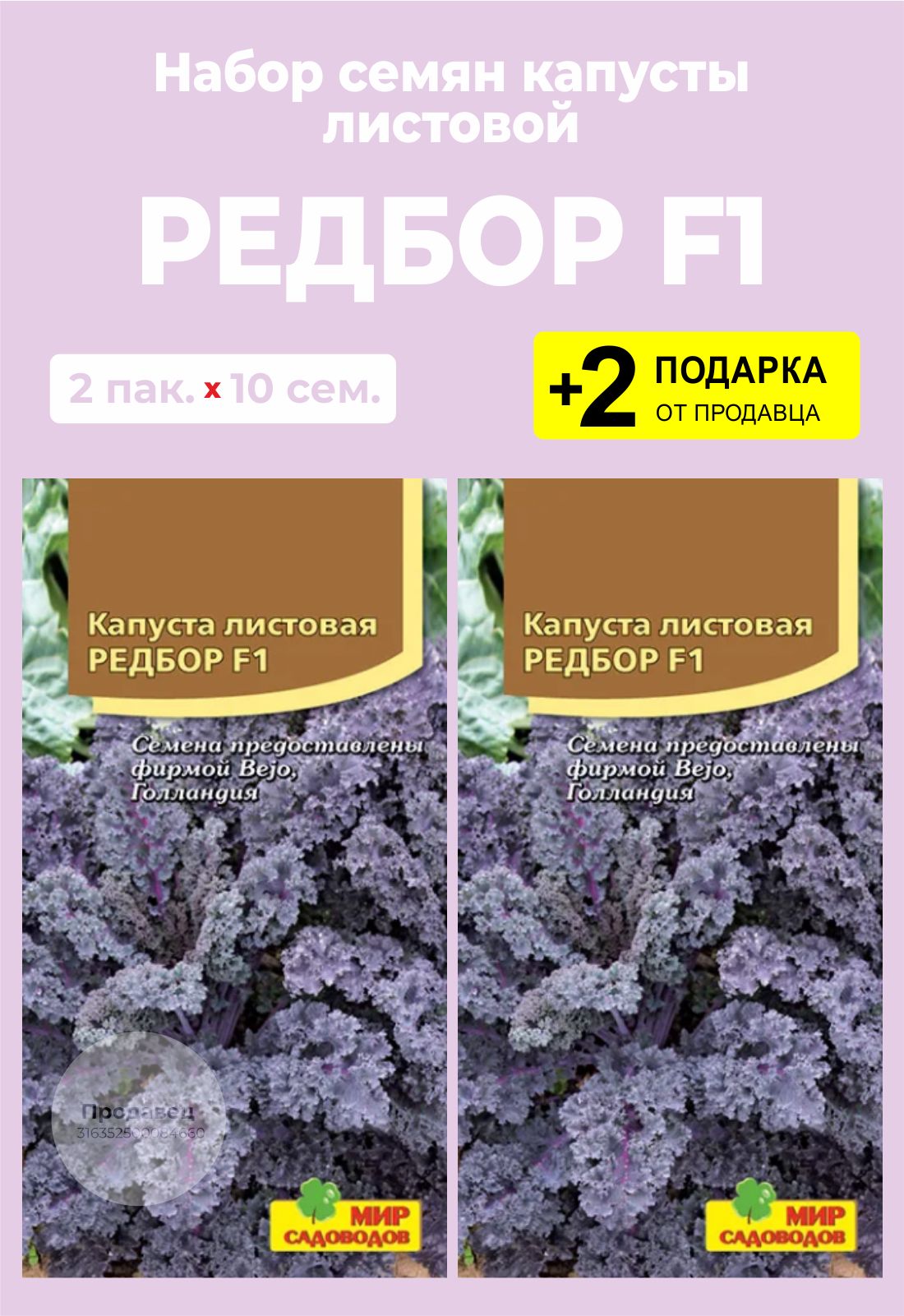 Капуста Редбор Фото