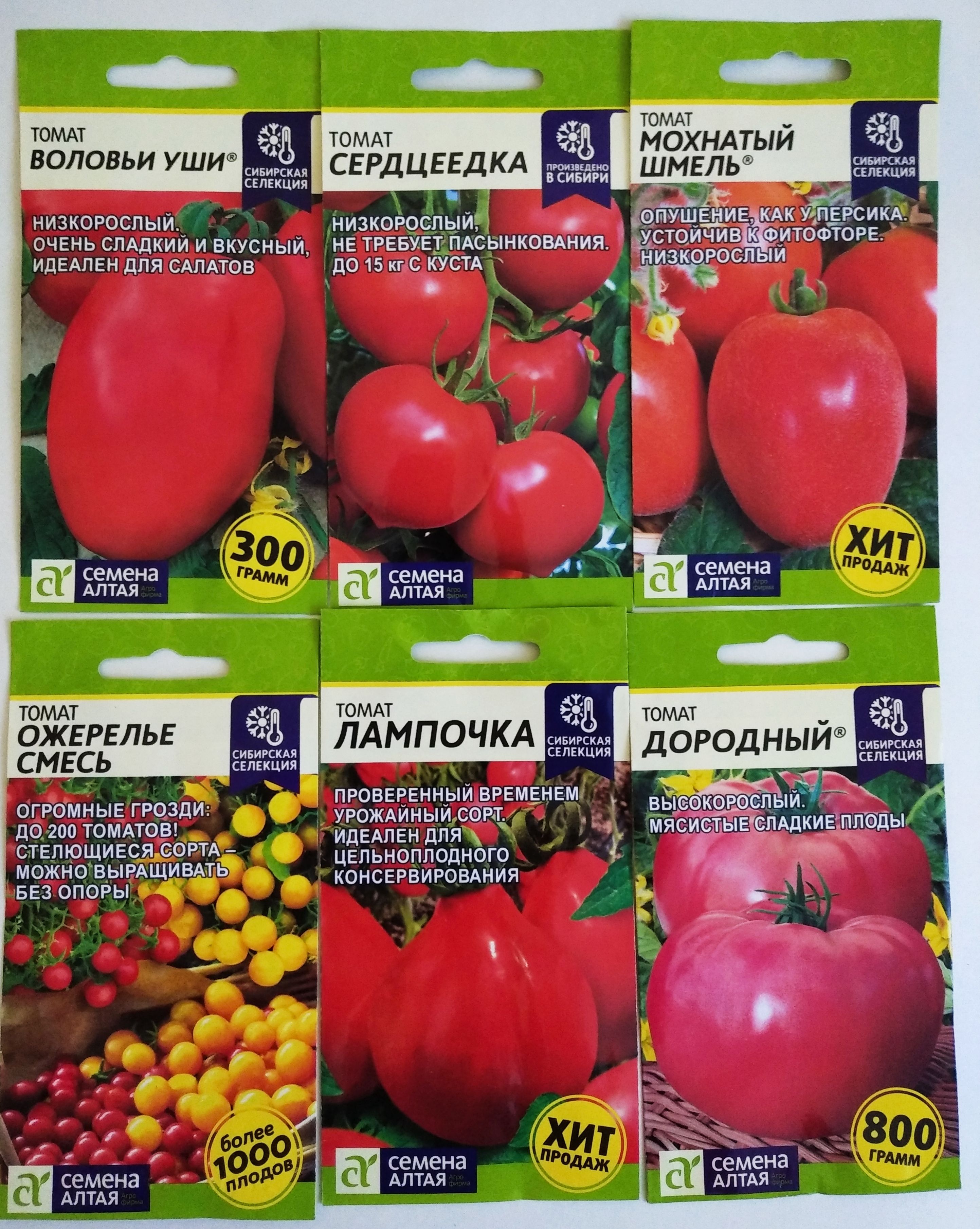 Томат мохнатый шмель. Сорт томата мохнатый шмель. Мохнатый шмель сорт помидоров. Томат сорт мохнатый шмель. Томат могучее вымя семена алтая.