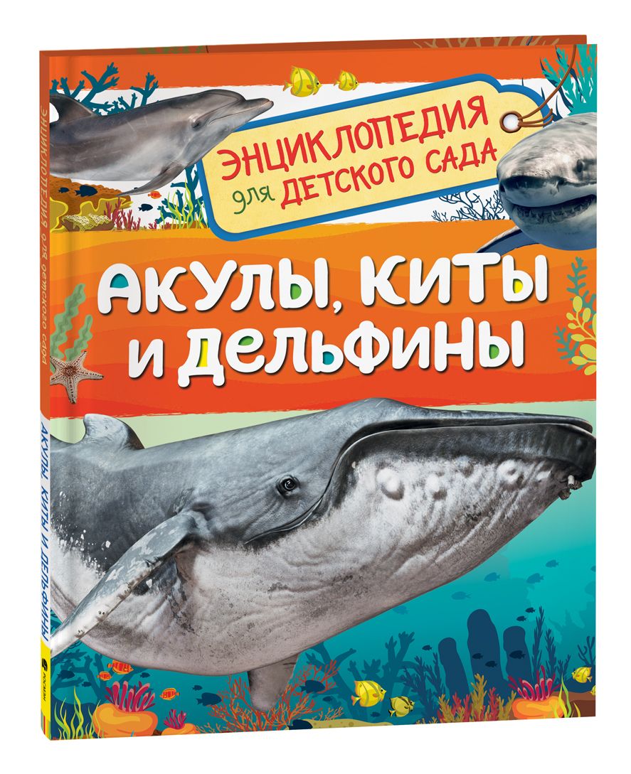 Акулы, киты и дельфины. Энциклопедия для детского сада | Попова Лариса -  купить с доставкой по выгодным ценам в интернет-магазине OZON (801606480)