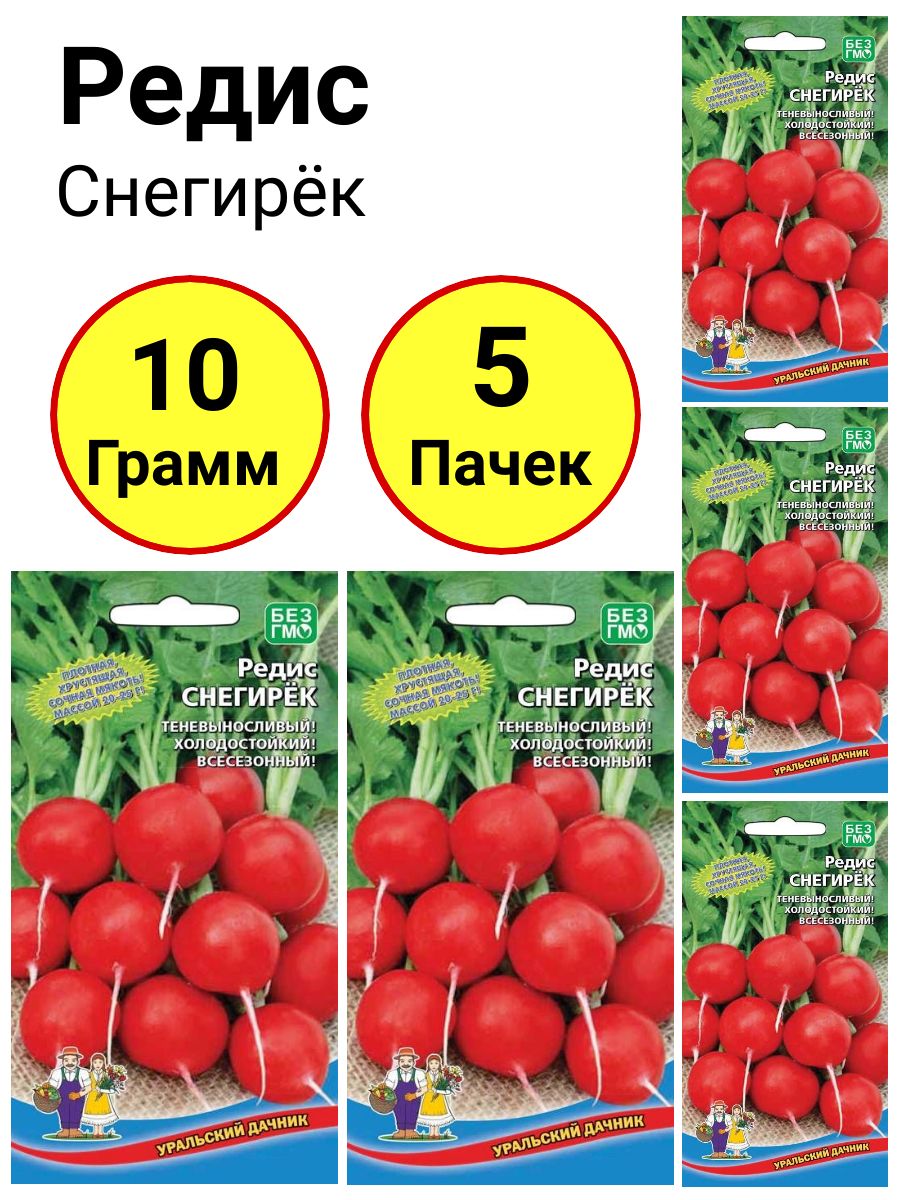 Редис снегирек. Снегирек редиска. красный снегирек яблоня отзывы.