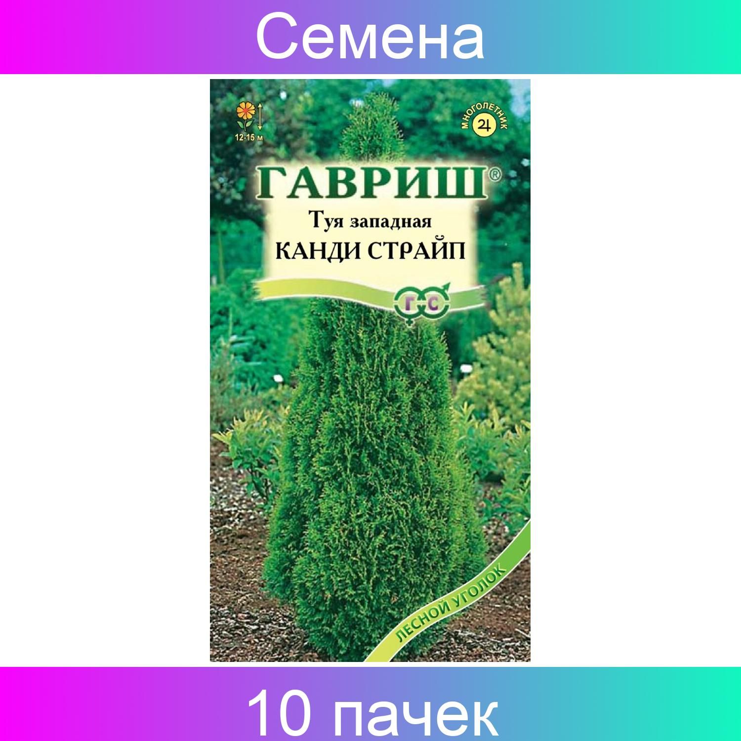 Купить Семена Туи В Беларуси Почтой Недорого