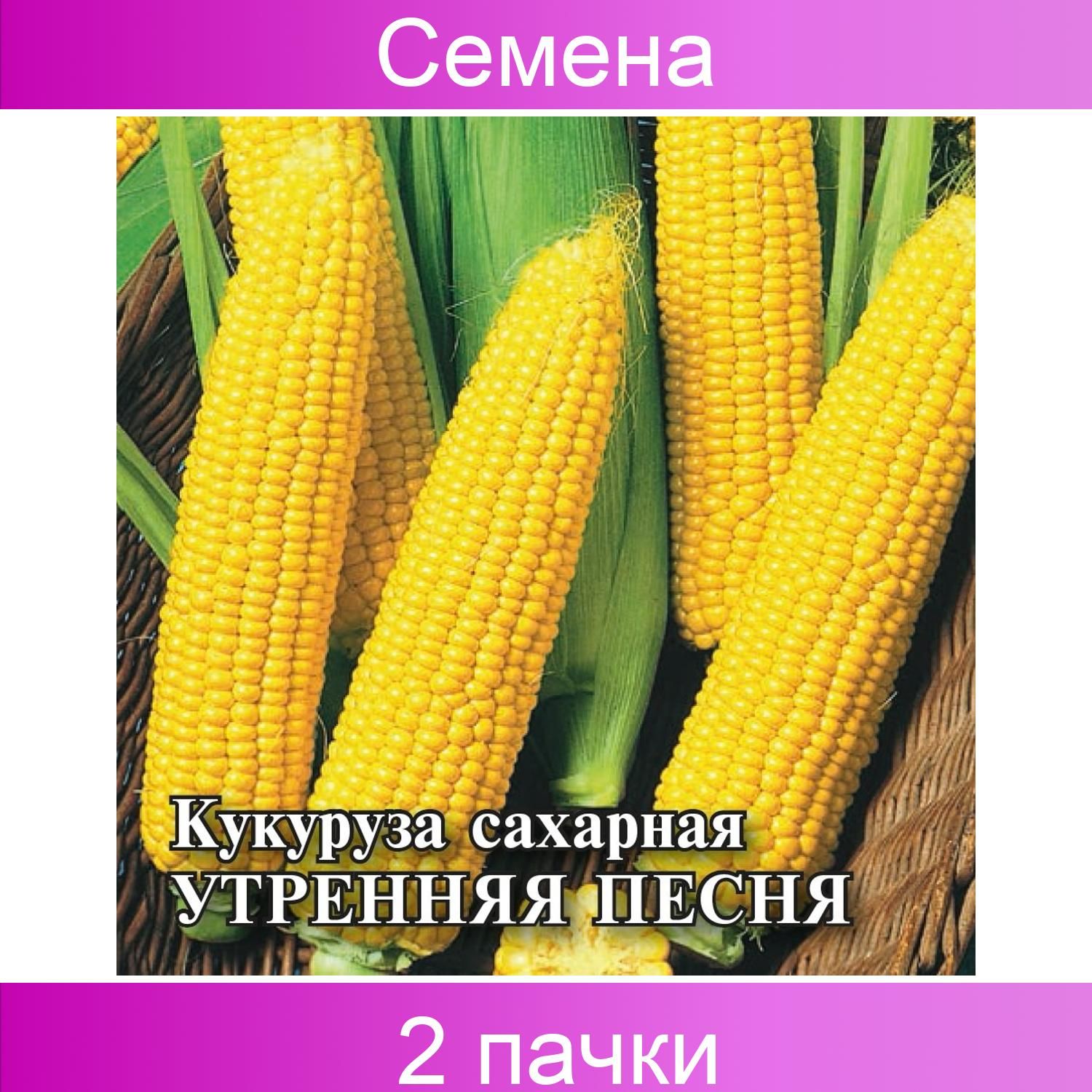 Кукурузного утра. Кукуруза сахарная утренняя песня f1. Кукуруза сахарная утренняя песня f1. Кукурузного утра. Кукурузного утра.