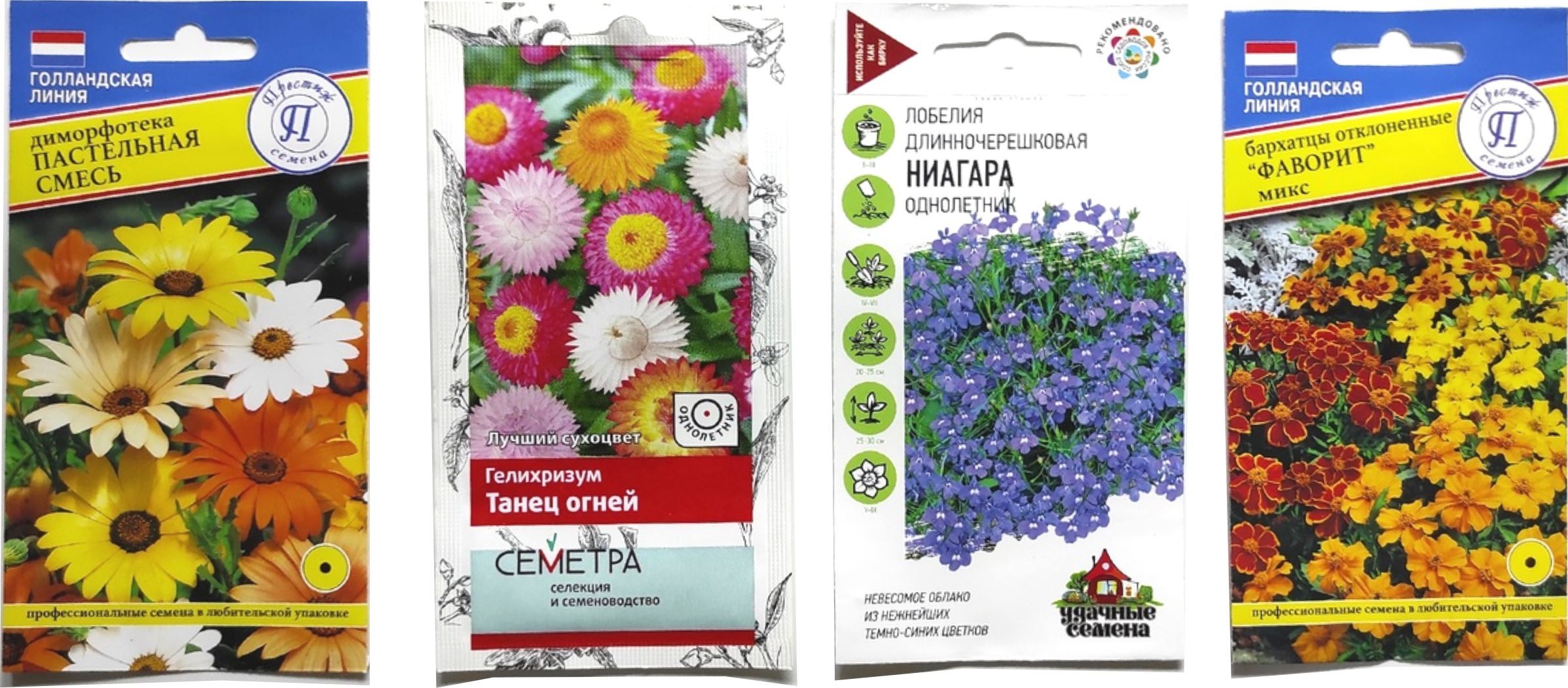 Бархатцы Синие Купить Семена