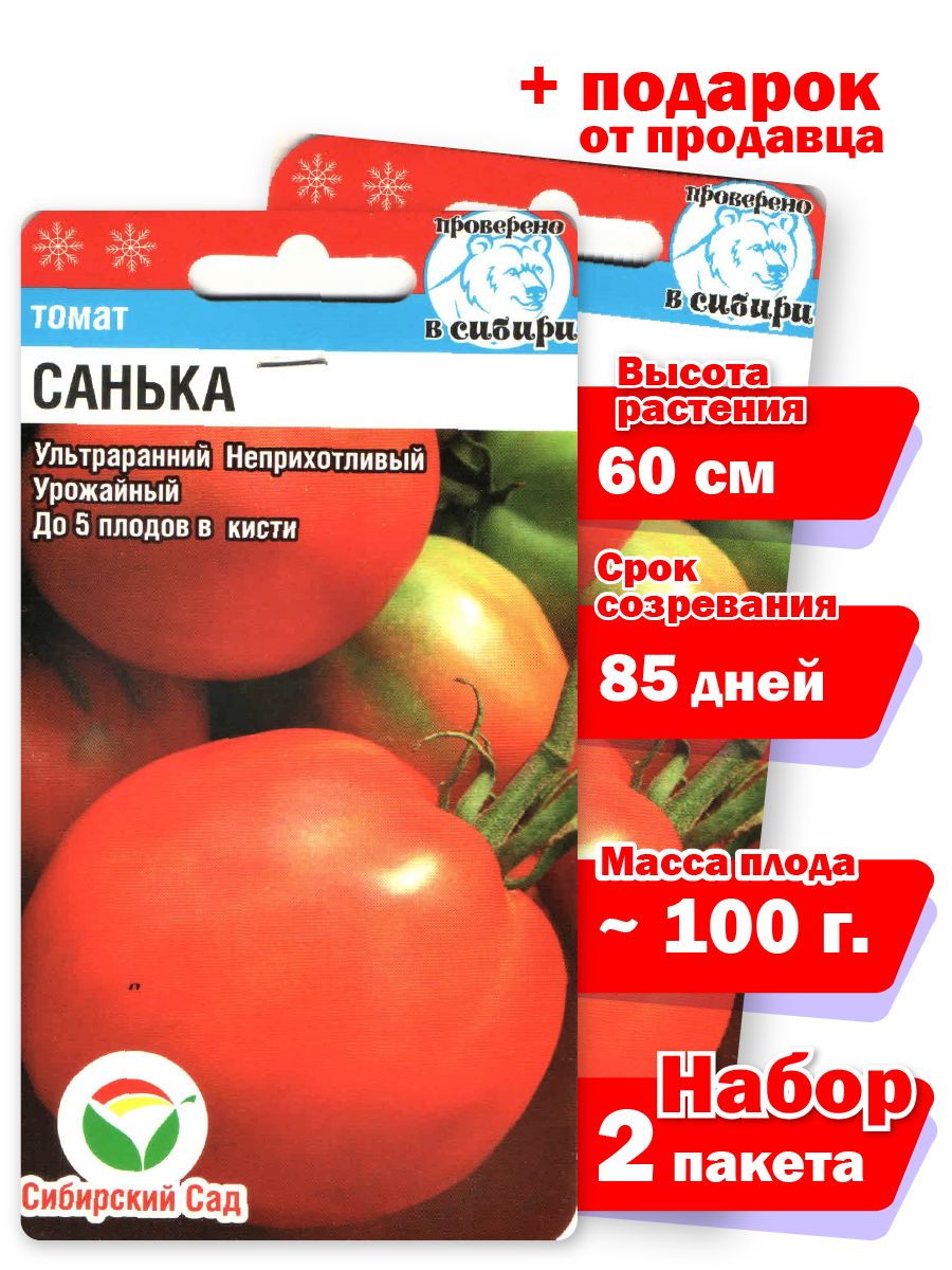 Фото Томатов Сорта Санька