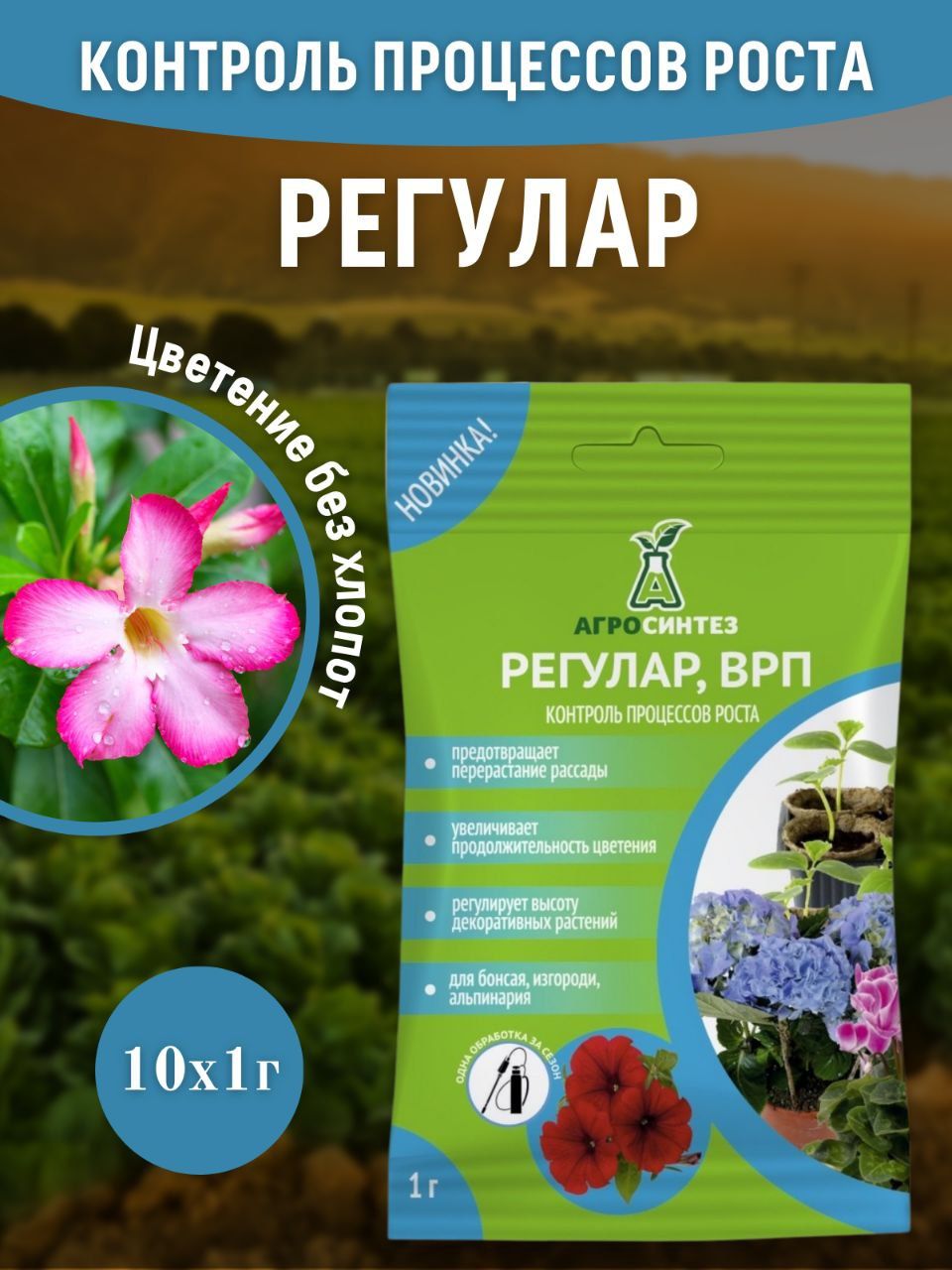 Регулар препарат для рассады. Препарат регулар для растений. Регулятор роста "регулар", 3 г. Регулар удобрение для рассады. Регулар для цветов.