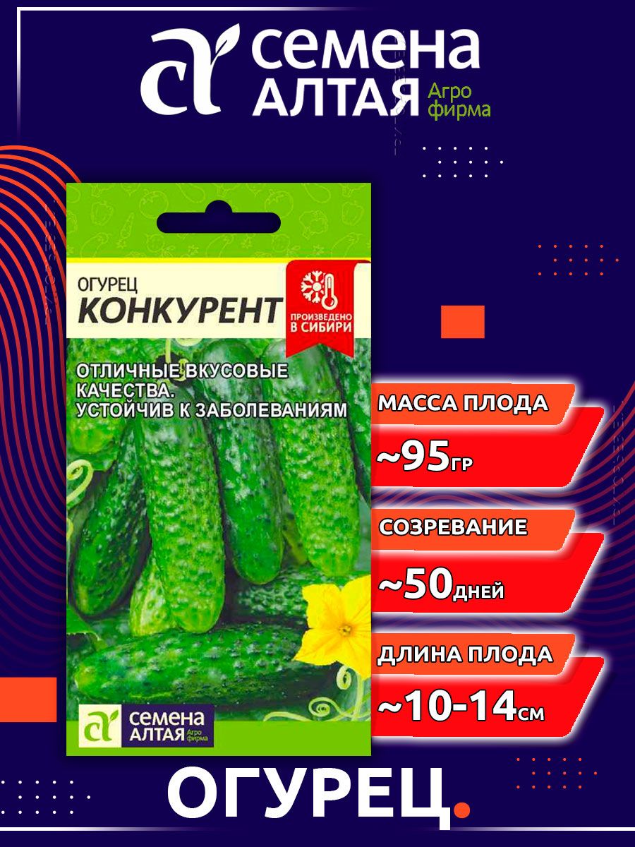 Огурец Алтай. Огурец конкурент. Огурец шопа семена Алтая отзывы. Огурец конкурент из Ашана.