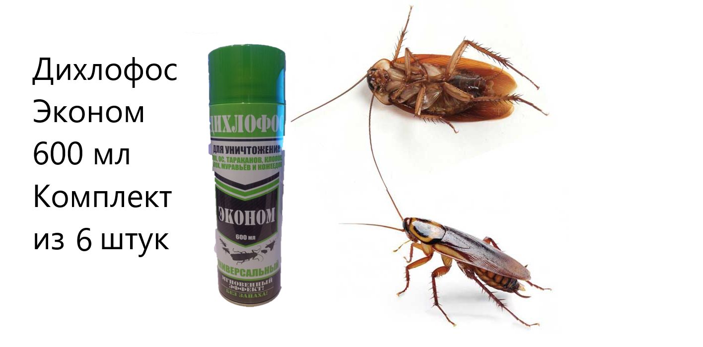 отравление от дихлофоса. хороший дихлофос от тараканов. отрава от тараканов дихлофос. дихлофос от клопов самый эффективный. дихлофос нео приманка от тараканов и муравьев 4шт.