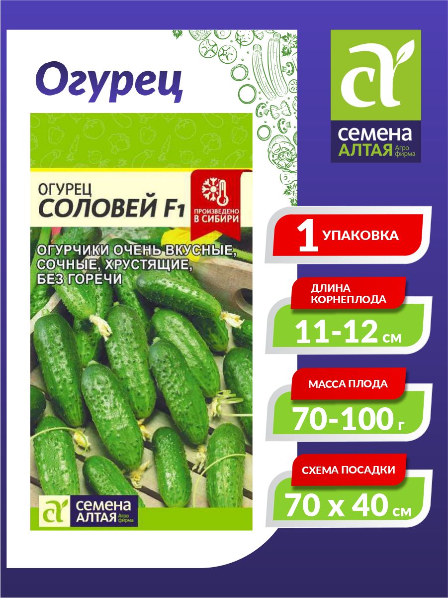 Купить Семена Огурцов Северин