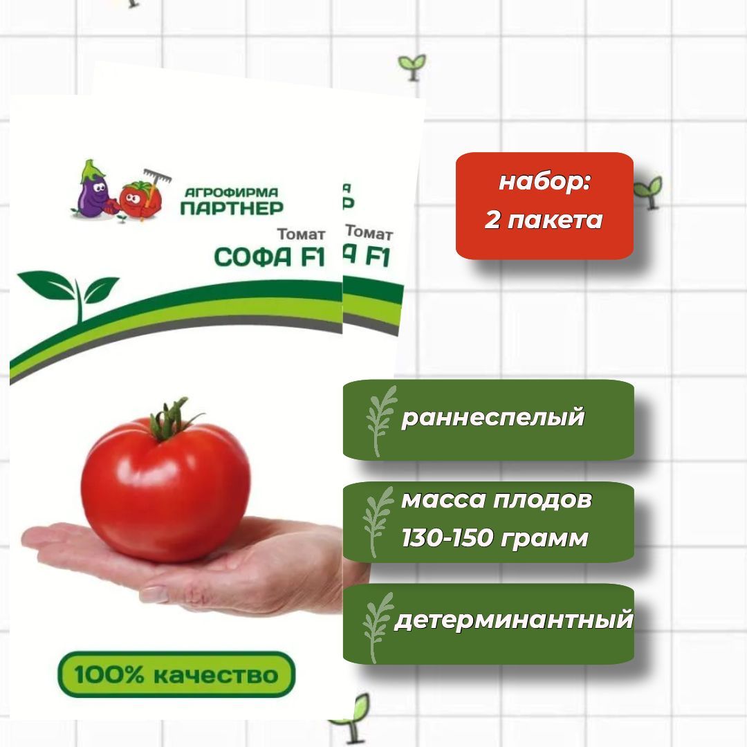 Томат софа партнер. Томат софа f1. Томат софа партнер высота куста. Томаты Агрофирмы партнер каталог.