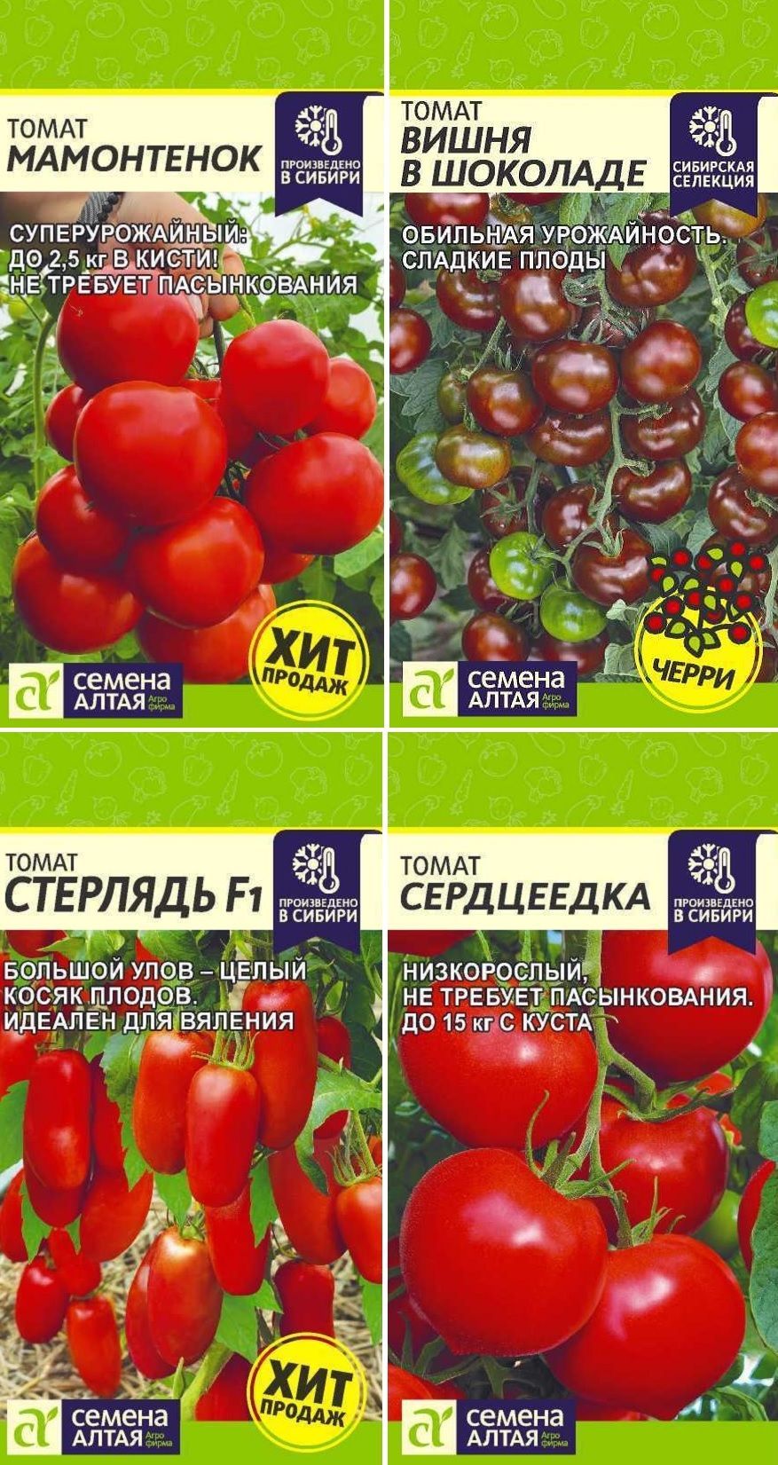 Мамонтенок Томат Семена Алтая Отзывы Фото