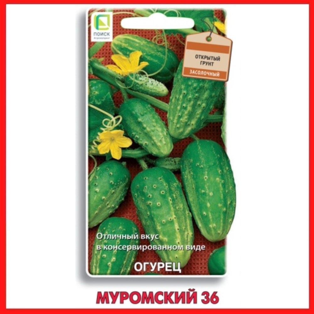 огурец сорт муромский. огурец муромский. гавриш огурец муромский 36. огурец зеленая лавина f1 10шт гавриш, шт. семена огурцов овощная география гавриш.