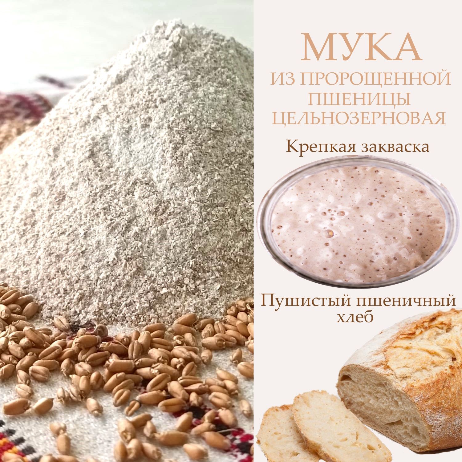 Мука Из Пророщенной Пшеницы купить на OZON по низкой цене