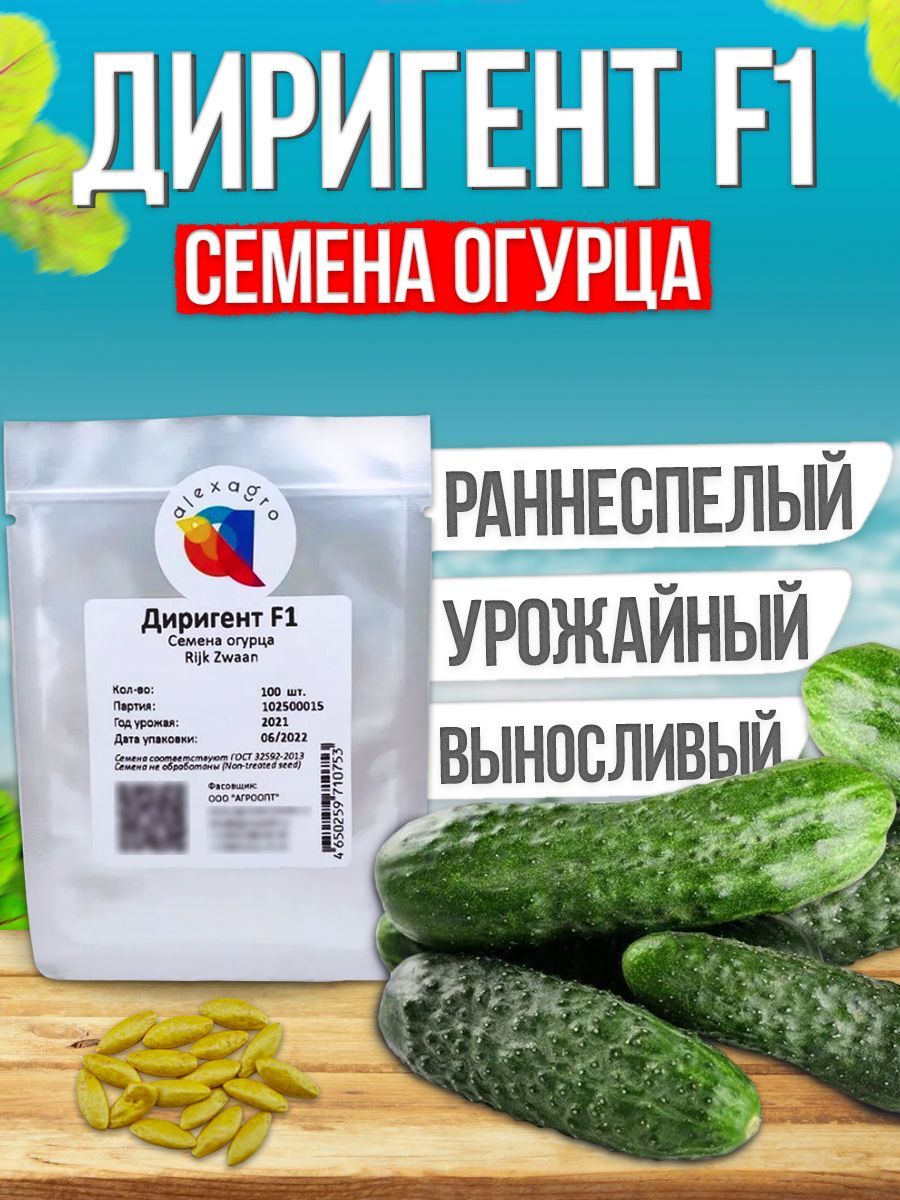 Диригент Огурцы Семена Купить