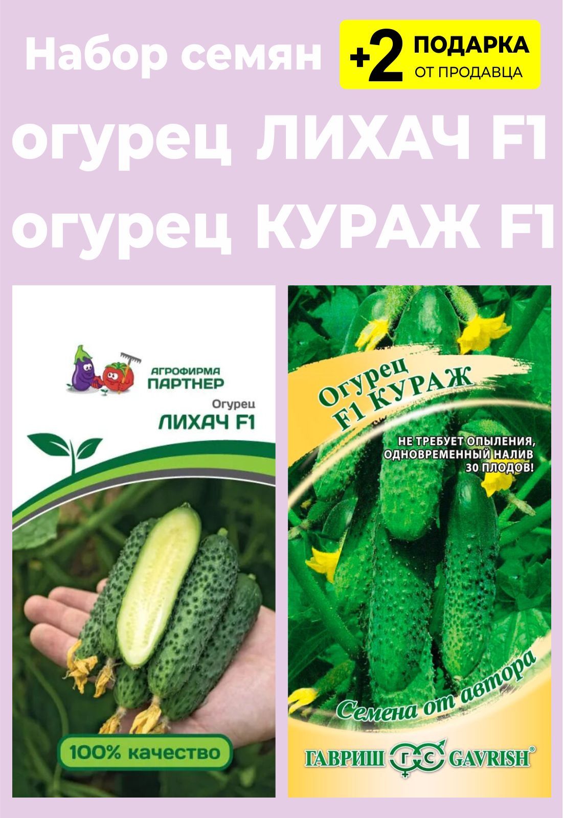 Огурцы Эстет Отзывы Фото
