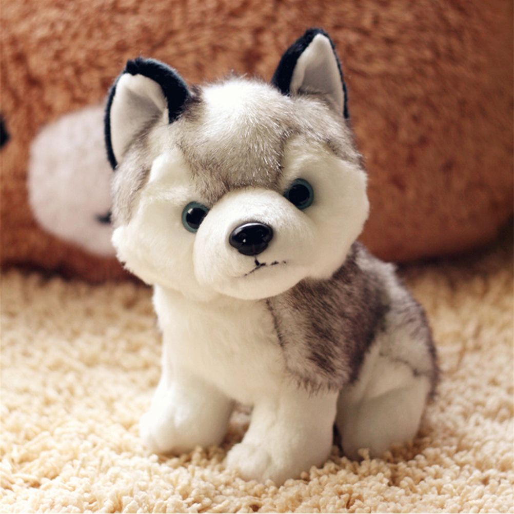 Плюшевый пес. Plush Toys игрушки хаски. Игрушка Husky плюшевая. Husky Plush Plush. Хаска плюшевая собака хаска.